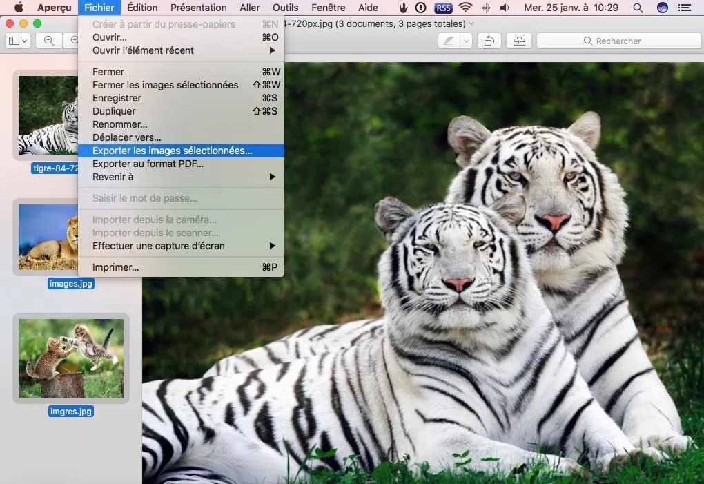 Convertir des images sur Mac exporter les photos