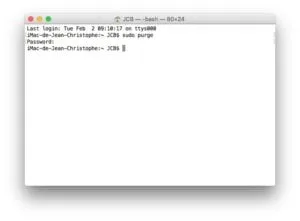 purger la ram mac sudo purge
