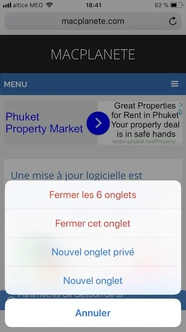 Fermer tous les onglets de Safari iPhone en une seule fois