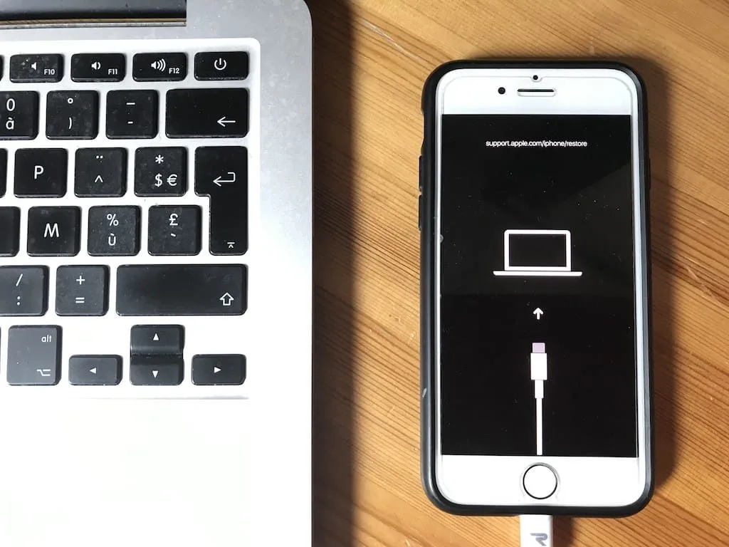 downgrade ios 13 vers ios 12 en mode recuperation