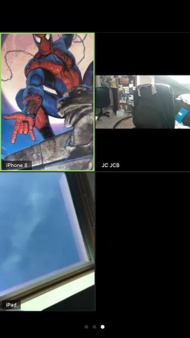 vue multiple fenetre zoom iphone ipad