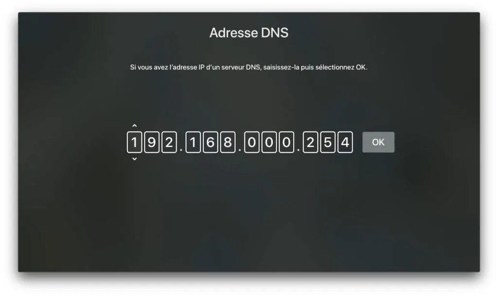 remplacer DNS Free par DNS Cloudflare OPenDNS Google DNS