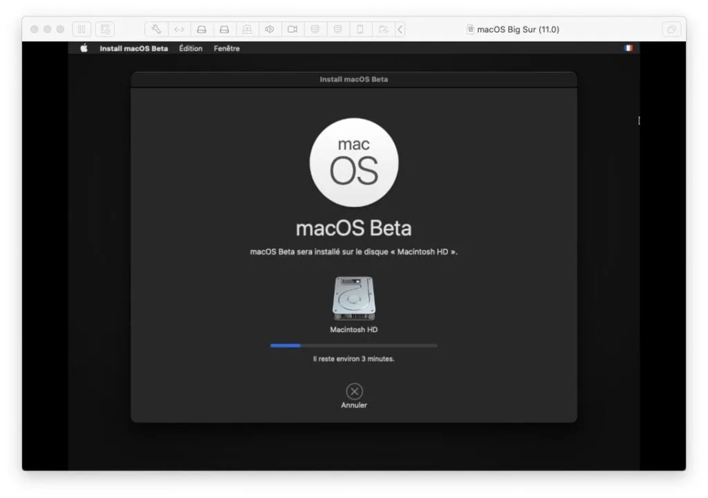 installation macos big sur en cours vmware
