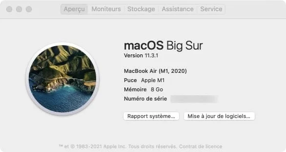 correctif macos big sur 11.3.1 Mac