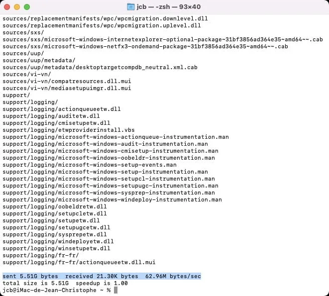 copier fichier dinstallation windows 11 sur Mac cle usb