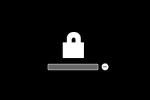 Supprimer le mot de passe du programme interne Mac EFI password
