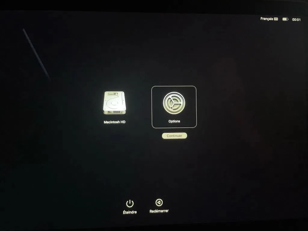 reinstaller macos monterey mac m1