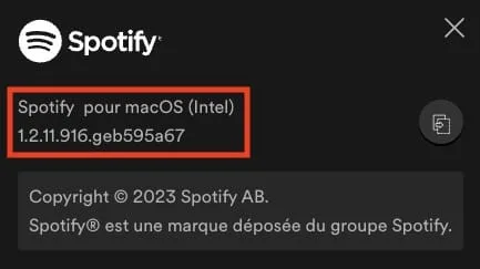 connaitre version Spotify