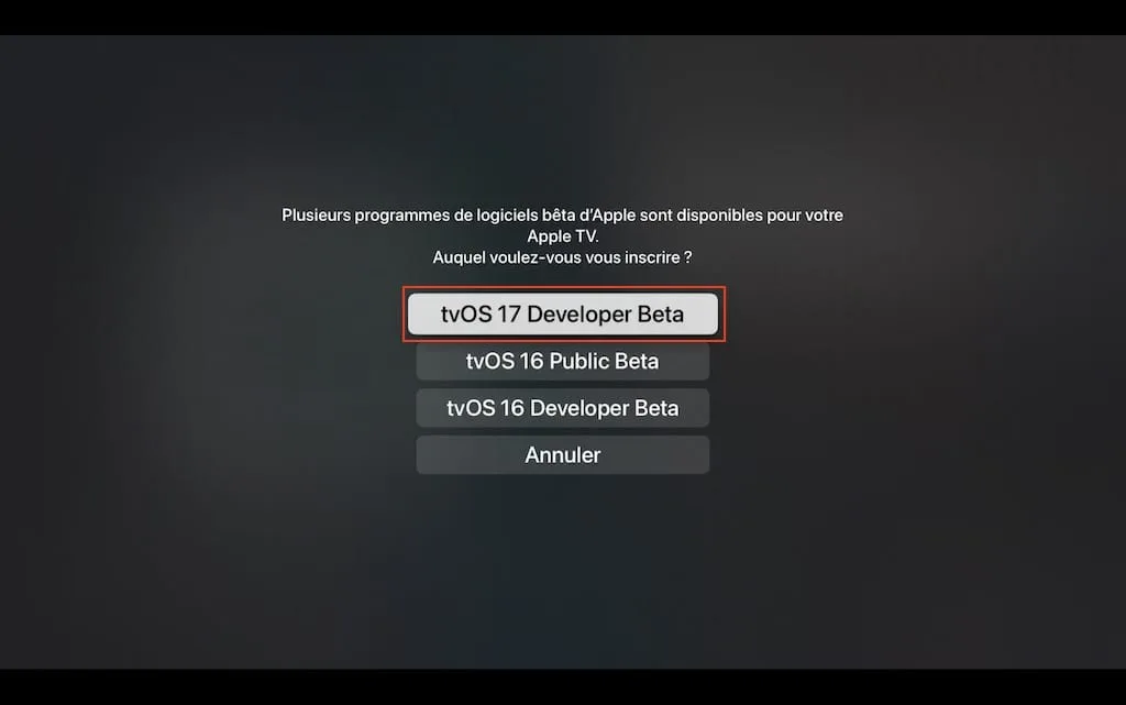 download tvos 17 developer beta