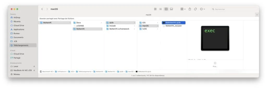 Comment jouer à Baldur’s Gate 3 sur Mac (Intel / Silicon M1 / M2) 4 MoltenVK
