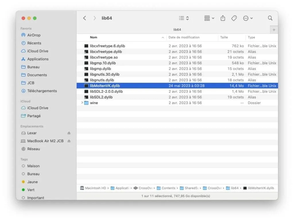 Comment jouer à Baldur’s Gate 3 sur Mac (Intel / Silicon M1 / M2) 5 libMoltenVK.dylib