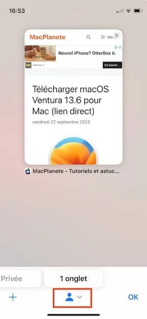 changer profil safari ios 17