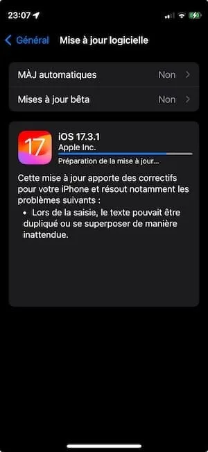 download iOS 17.3.1