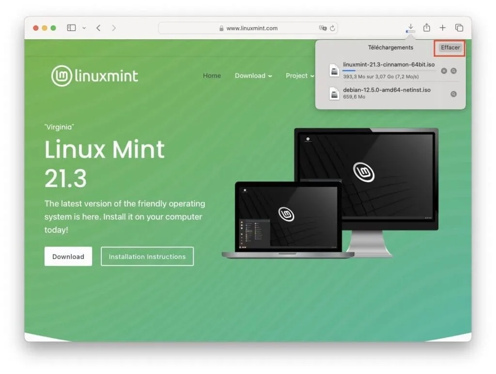 effacer manuellement fichier telecharge avec safari