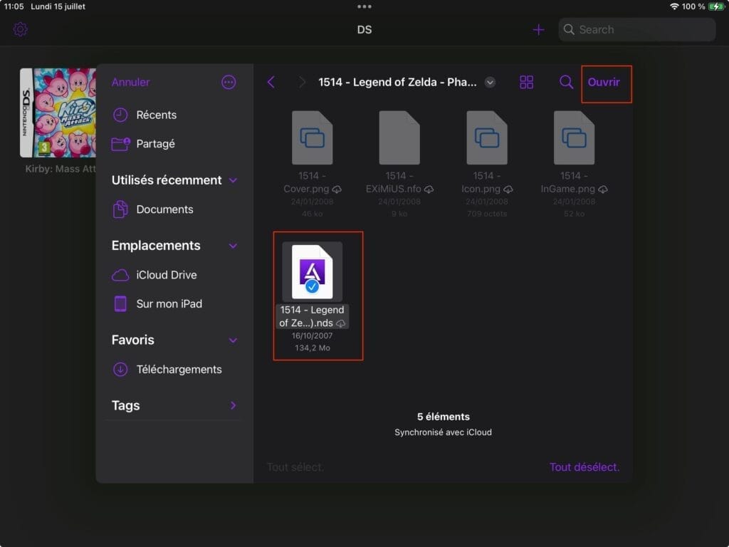 fichier nds ipad