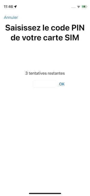 saisir code PIN iPhone