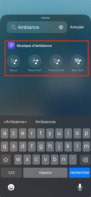 repos relaxation productivite bien etre iphone ios 18.4