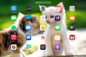buholaunchpad macos launchpad